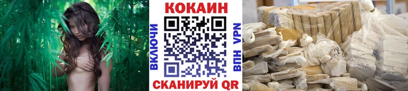 COCAIN Эквадор  цена   Приморск 