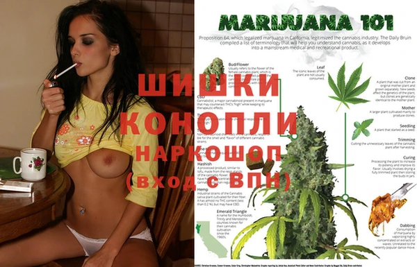 прущая мука Арсеньев