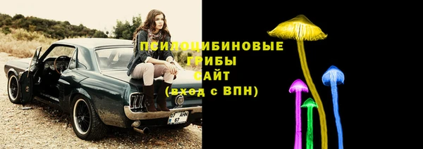 прущая мука Арсеньев