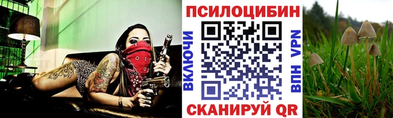 Псилоцибиновые грибы мицелий Приморск